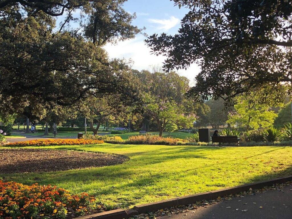 5 Places to Hang Out in Camperdown